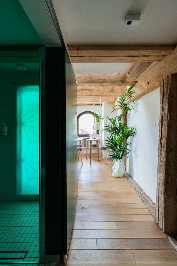 Apartamenty Monka Stary Toruń 外观 照片
