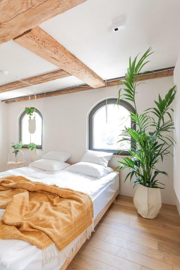 Apartamenty Monka Stary Toruń 外观 照片