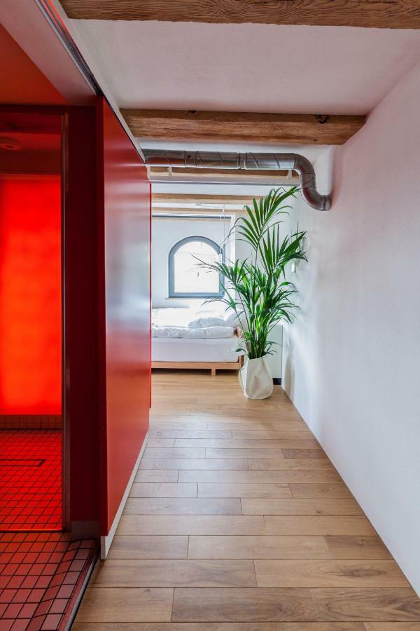 Apartamenty Monka Stary Toruń 外观 照片