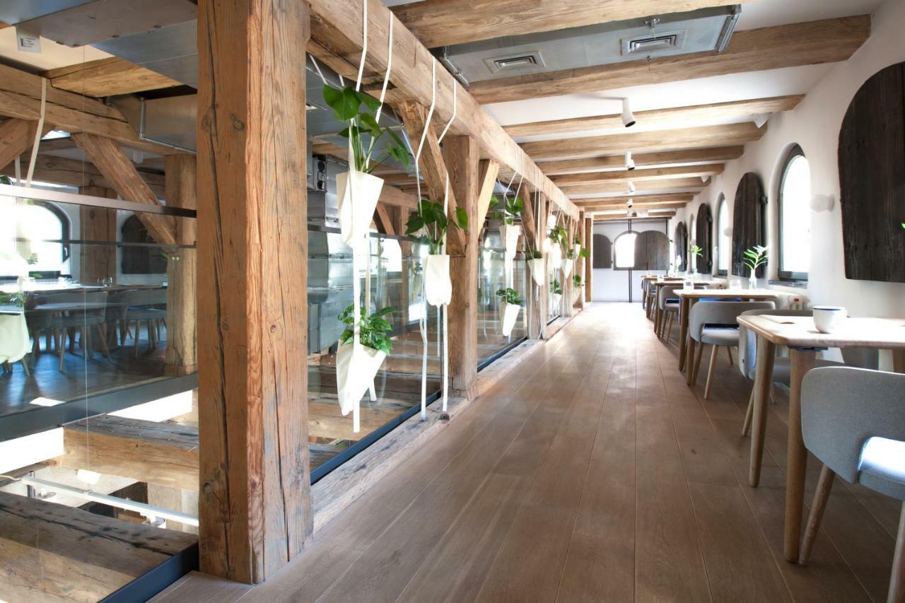 Apartamenty Monka Stary Toruń 外观 照片